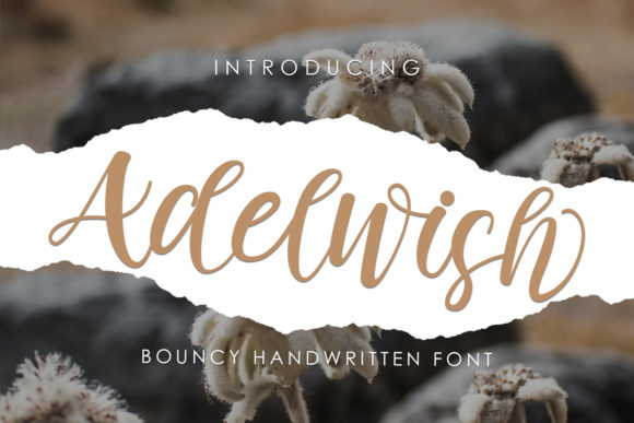 Adelwish: A Friendly Font for Your Brand's Voice