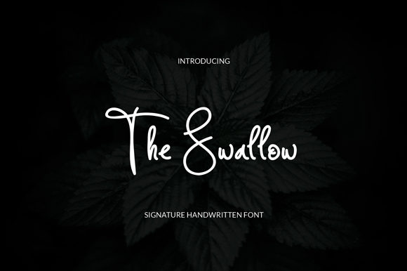 Discover The Swallow: A Charming Handwritten Font for Crafters