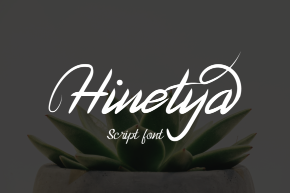 Hinetya: A Versatile Script Amp Font for Creative Branding